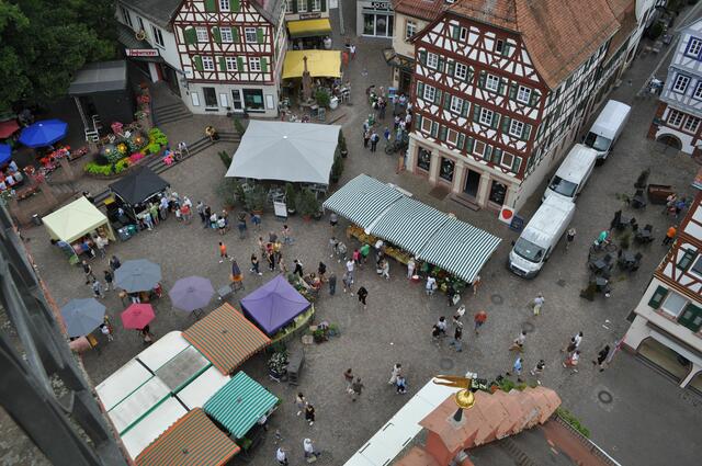 Blick vom Rathausturm auf das Treiben in der Stadt. Gerade ist dort der Kräutermarkt. | Foto: Daniela Somers