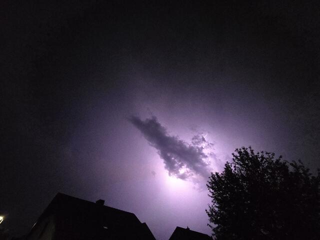 Foto: Heidrun Rosenberger