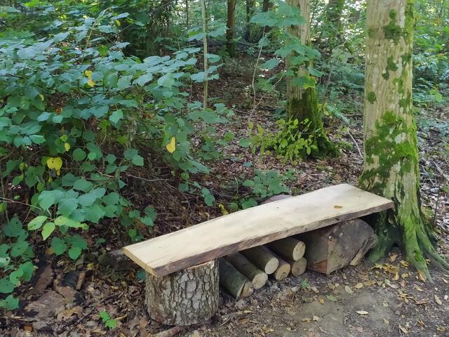 Foto: sigischlottke