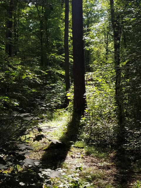 Foto: sigischlottke