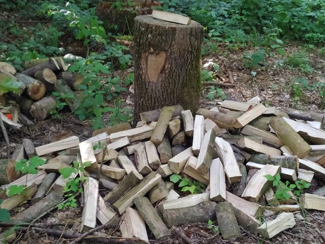 Foto: sigischlottke