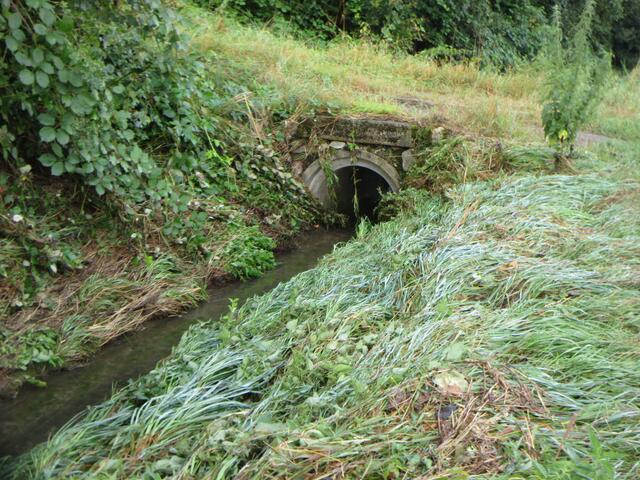 In der Nacht war dieses Bächlein über die Ufer getreten | Foto: WandernGabyErich