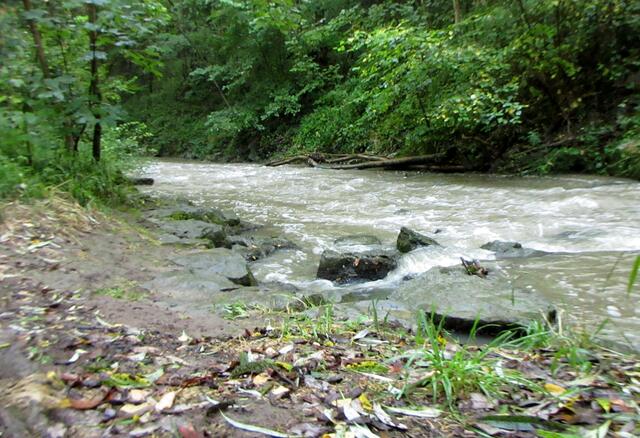 Die Strecke bot viel Abwechslung | Foto: WandernGabyErich