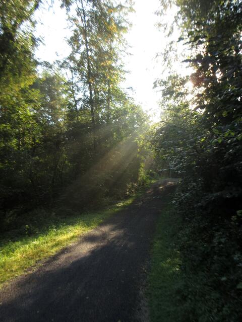 Licht und Schatten | Foto: WandernGabyErich
