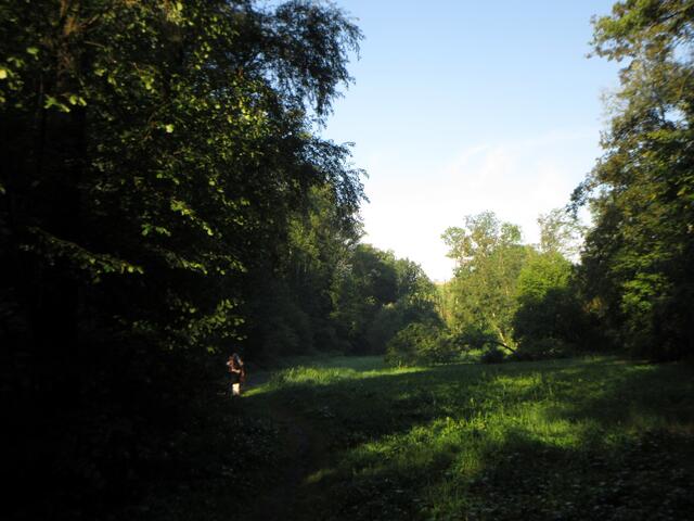 Noch steht die Sonne tief und der Weg liegt abschnittsweise im Schatten | Foto: WandernGabyErich