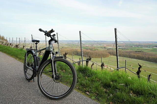 Eine Radtour bei bester Aussicht können Sie, liebe Heimatreporter, am Heuchelberg genießen. | Foto: Ulrich Seidel