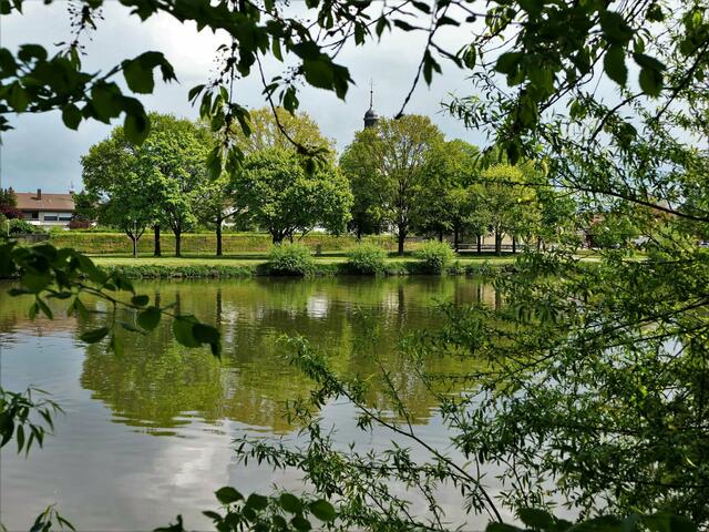 Wunderschön sind die Radwege, die am Neckar entlang führen - wie hier in Offenau. | Foto: Karl-Heinz Wachtler