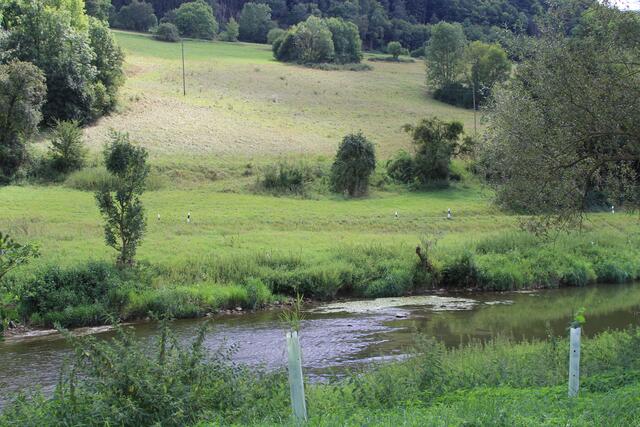 Jagst | Foto: Ralf Röser