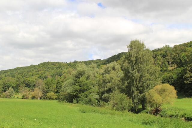 Jagsttal | Foto: Ralf Röser