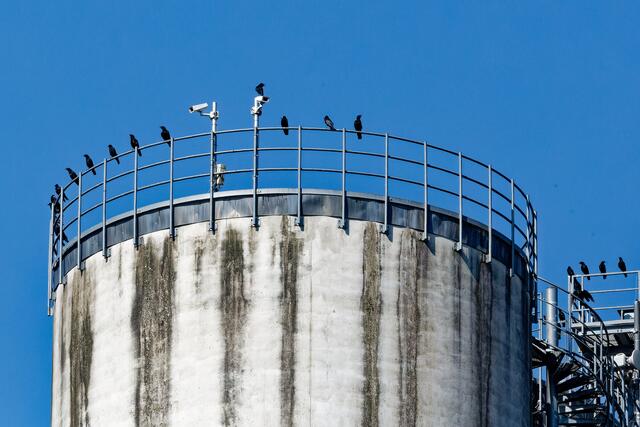 Alles unter Kontrolle | Foto: WKY