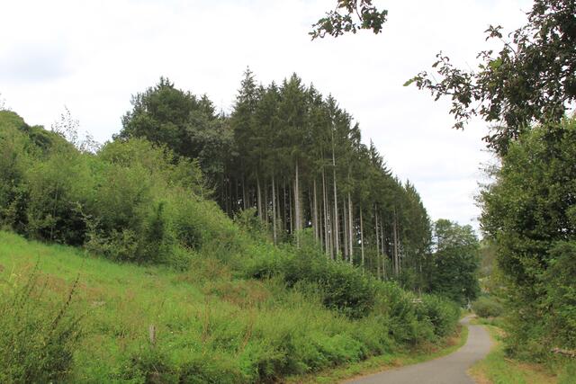 schöne Aussicht | Foto: Ralf Röser