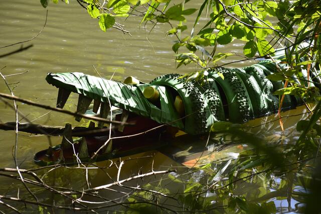 Das Krokodil vom Köpferstausee. Füttern verboten! | Foto: Michael Harmsen