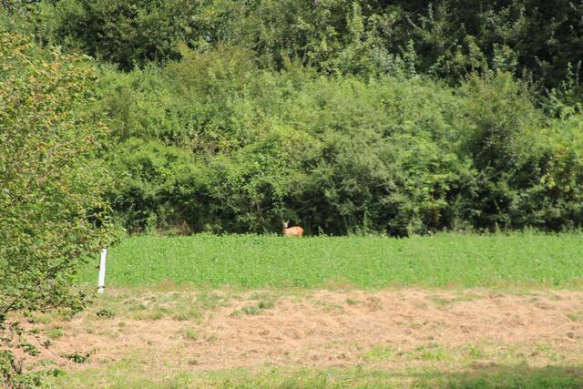 mitten am Tag | Foto: Ralf Röser