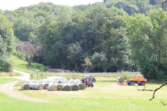 bei der Arbeit | Foto: Ralf Röser