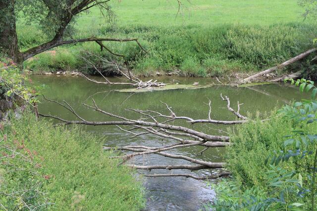 Jagst | Foto: Ralf Röser