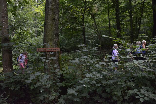  Im Sommer auf dem Frühlingsweg.  :-)))) | Foto: Michael Harmsen