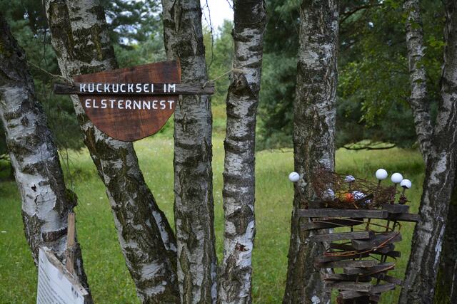  Das Kuckucksei im Elsternnest. | Foto: Michael Harmsen