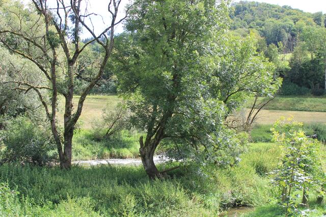 Jagsttal | Foto: Ralf Röser