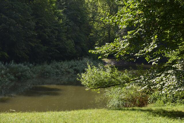  Idyllischer Köpferstausee. | Foto: Michael Harmsen