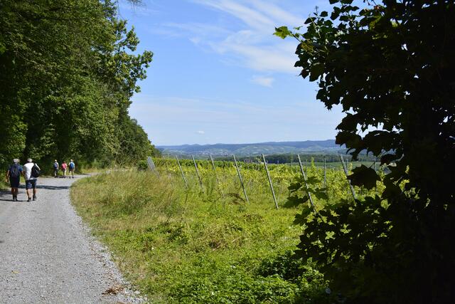  Fast jede Wanderung endet mit dem herrlichen Blick vom Jungenberg. | Foto: Michael Harmsen