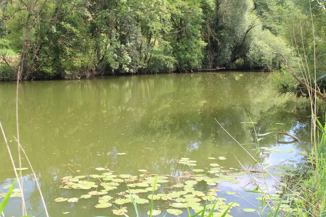 Jagst | Foto: Ralf Röser