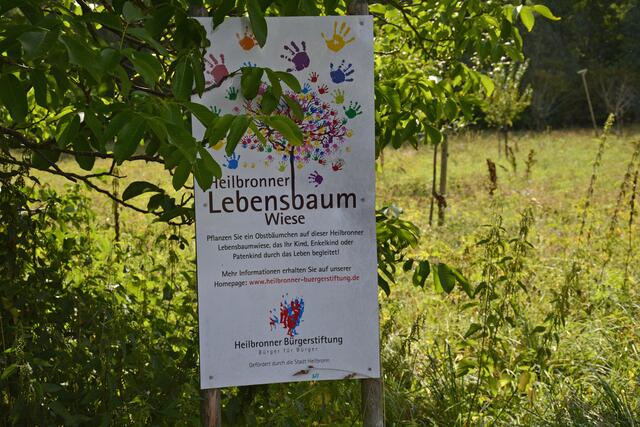 „Wenn ich wüsste, dass morgen die Welt unterginge, würde ich heute noch ein Apfelbäumchen pflanzen.“  | Foto: Michael Harmsen