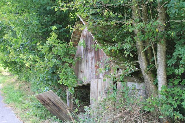 sehr alt | Foto: Ralf Röser