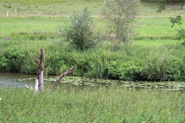 Jagst | Foto: Ralf Röser