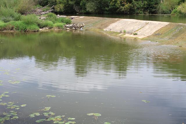 hinter dem Wehr ist eine Badestelle | Foto: Ralf Röser