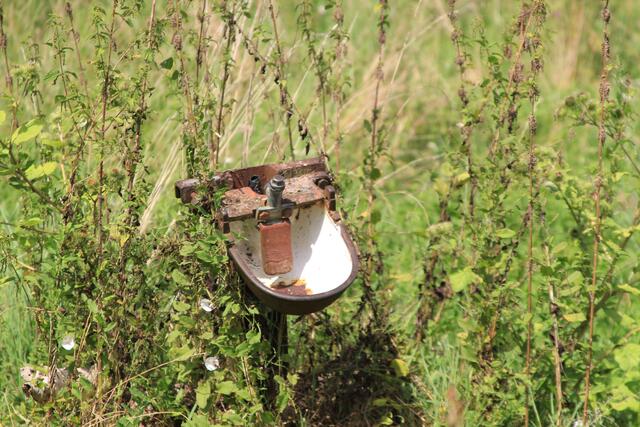 alte Tränke | Foto: Ralf Röser