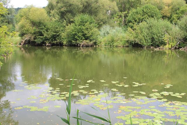 Jagst | Foto: Ralf Röser