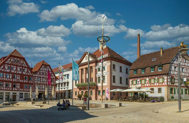 Der Landkreis Heilbronn wird auch auf diesem Foto von Uschi Pohl durch dessen schönen Ortschaften repräsentiert. | Foto: Uschi Pohl