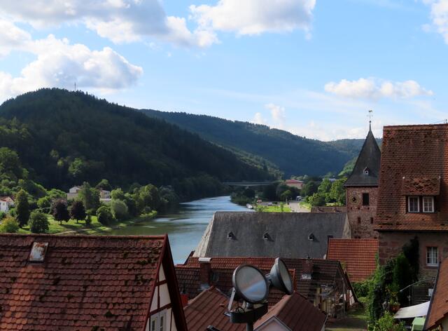 Ein wenig Aussicht auf den Neckar | Foto: WandernGabyErich
