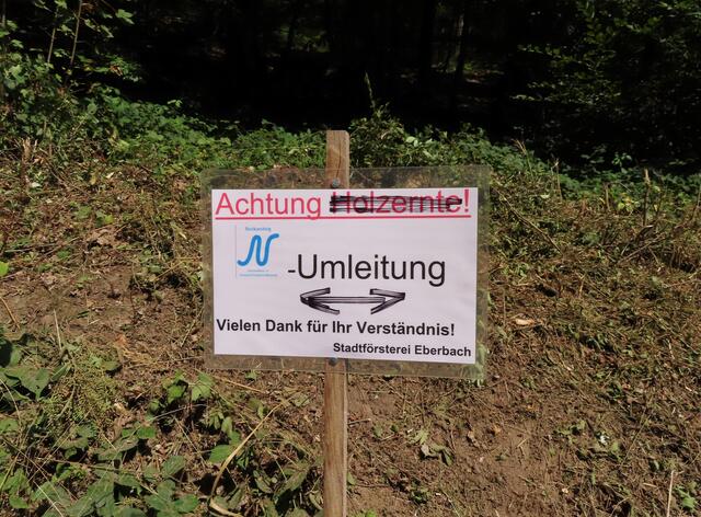 Schade, nun war endlich mal das Wetter ideal für die Tour... | Foto: WandernGabyErich
