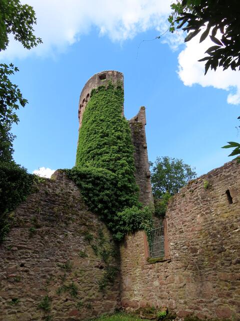 Burg oder Schloss? Auf jeden Fall Hirschhorn | Foto: WandernGabyErich