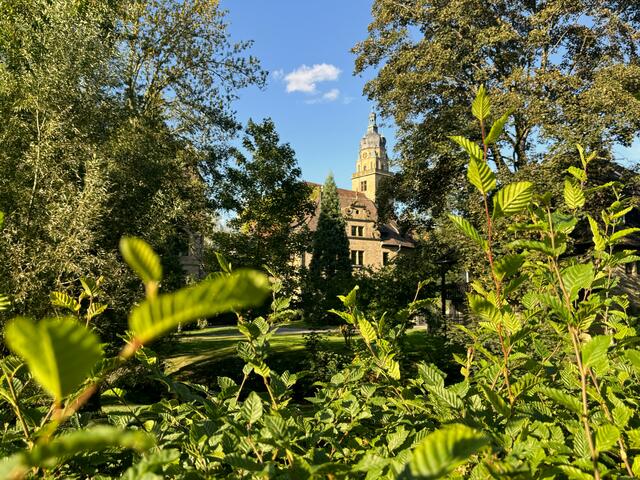 Foto: Heide Böllinger aus Bad Friedrichshall