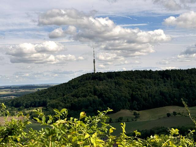 Foto: Heide Böllinger aus Bad Friedrichshall