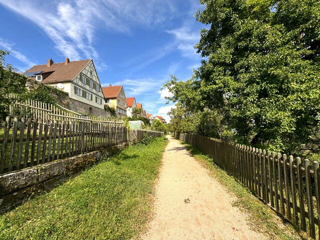 Foto: Heide Böllinger aus Bad Friedrichshall
