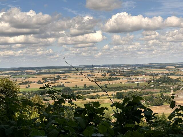 Foto: Heide Böllinger aus Bad Friedrichshall