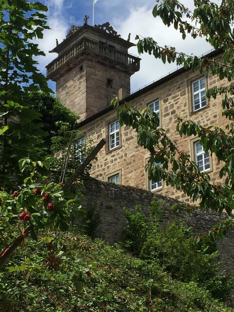 Schloss Waldenburg Hohenlohe | Foto: Heide Böllinger aus Bad Friedrichshall