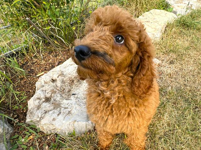 Foto: Heide Böllinger aus Bad Friedrichshall