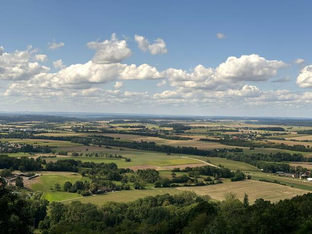 Foto: Heide Böllinger aus Bad Friedrichshall