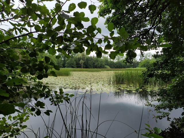 Auch am Bleichsee wanderte die Heimatreporterin vorbei. | Foto: Sigrid Schlottke