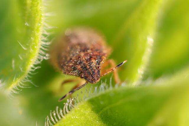 Immer noch geduldig ;-) | Foto: Uschi Dugulin