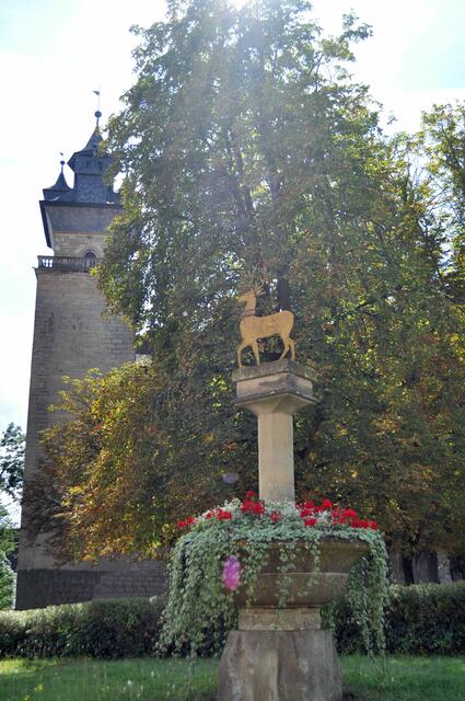 Letzter Blick aufs Schloss | Foto: Daniela Somers