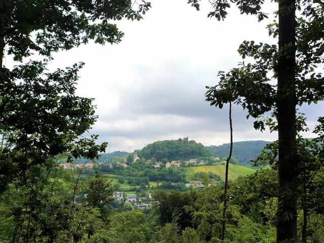 Sigrid Schlottke zeigt den perfekten Ausblick auf Löwenstein. | Foto: Sigrid Schlottke