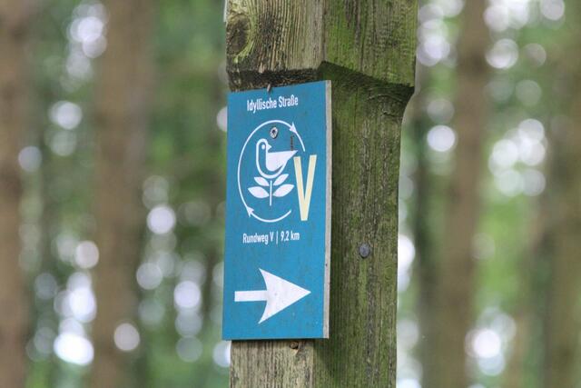 Eine "Idyllische Straße" ist es wahrlich, die Ralf Röser entlangwanderte. | Foto: Ralf Röser