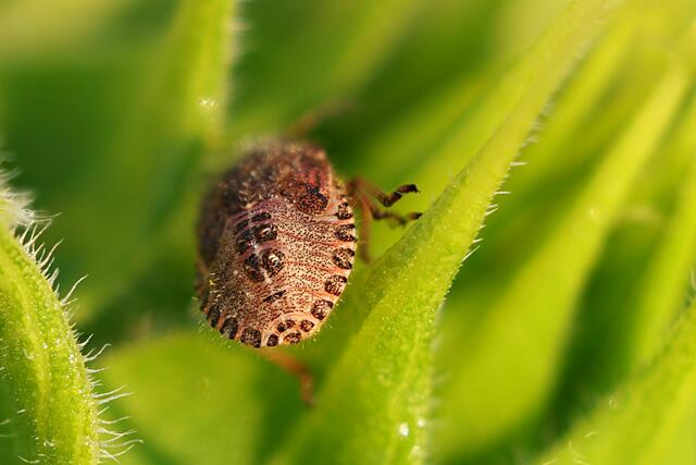 Keine Lust mehr, Geduld vorbei ;-) | Foto: Uschi Dugulin