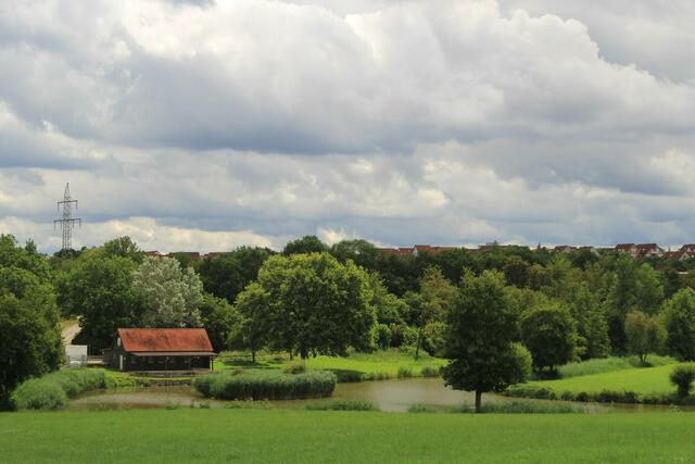Blick auf den Breiteichsee | Foto: Ralf Röser