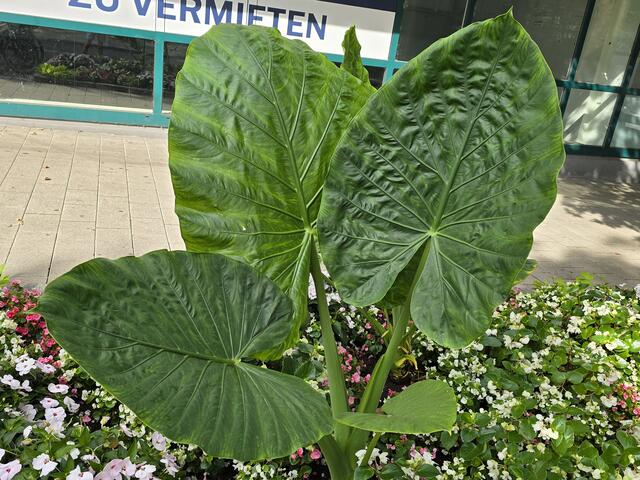 Foto: Heidrun Rosenberger